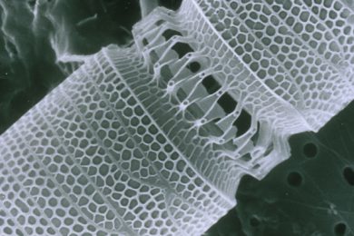 Nanotechnology Health & Safety
